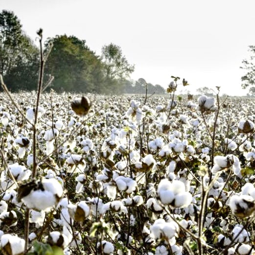 NATURALNE CZY SZTUCZNE? DLACZEGO WARTO WYBIERAĆ DZIANINY, KTÓRE ODDYCHAJĄ RAZEM Z TOBĄ?
